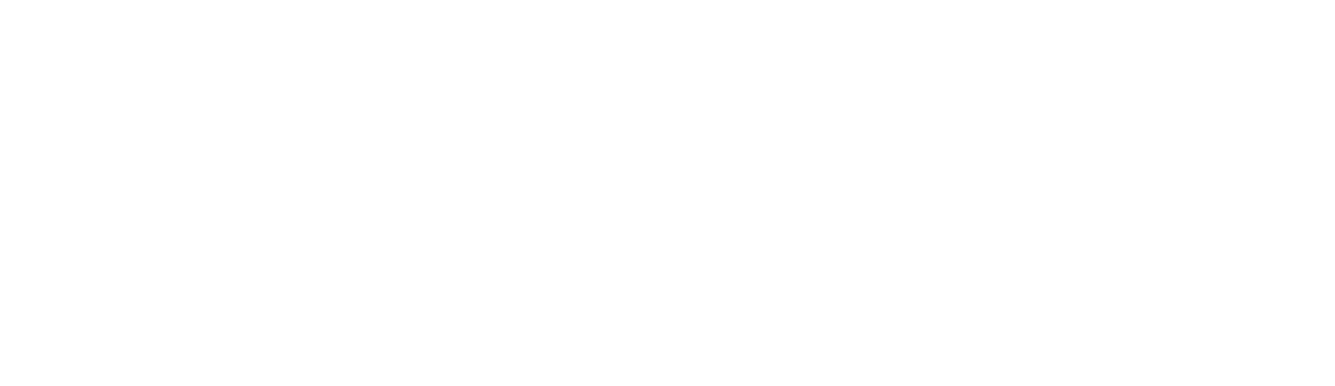 Flowise